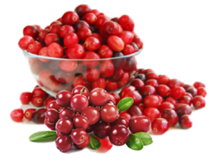 cranberry-1